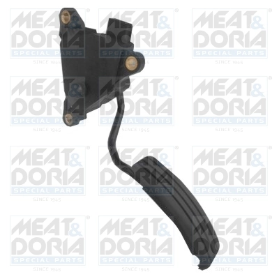 Accelerator Pedal Unit